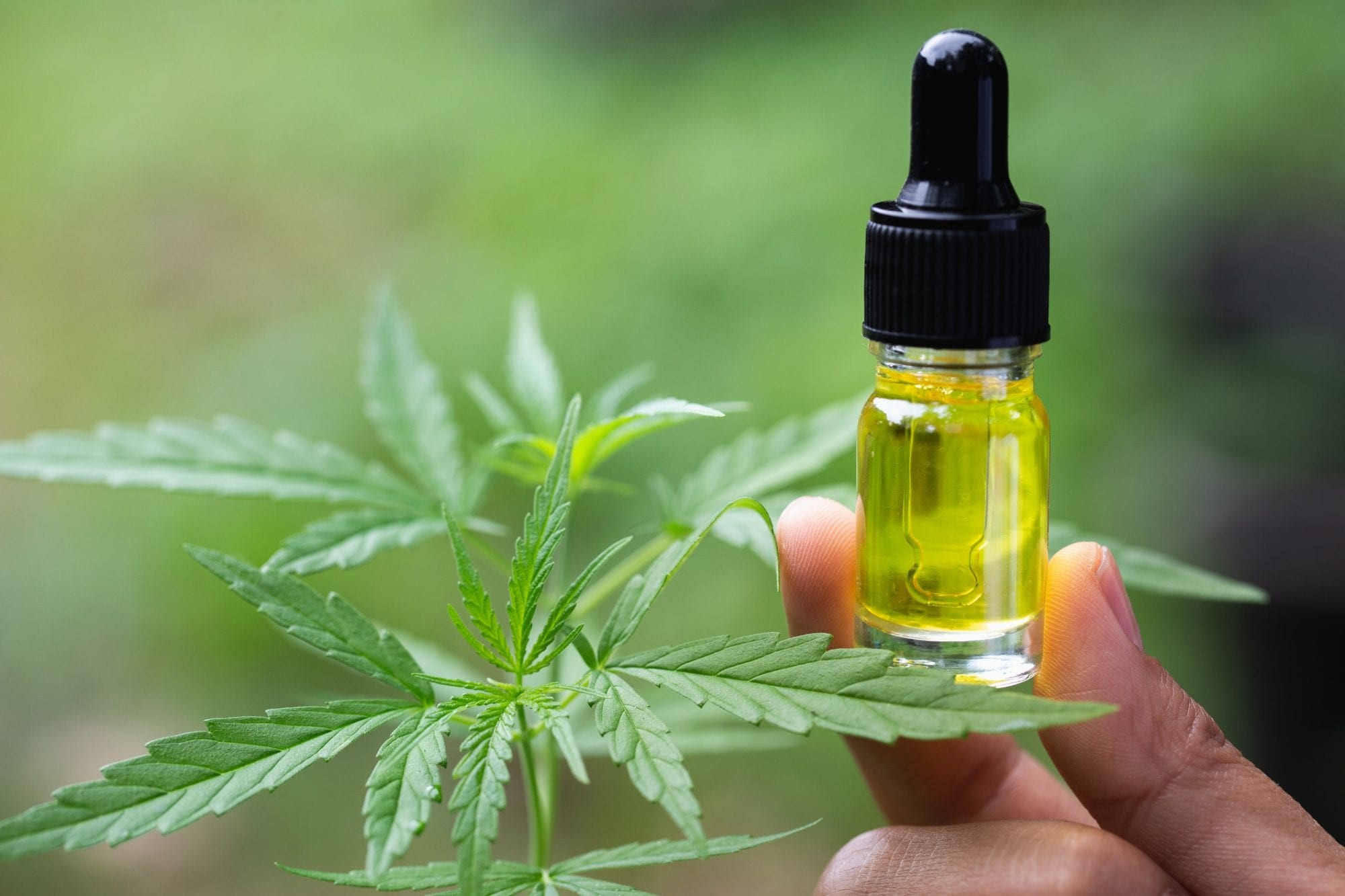 best cbd oil for sleep