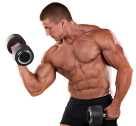What is a steroid cycle?